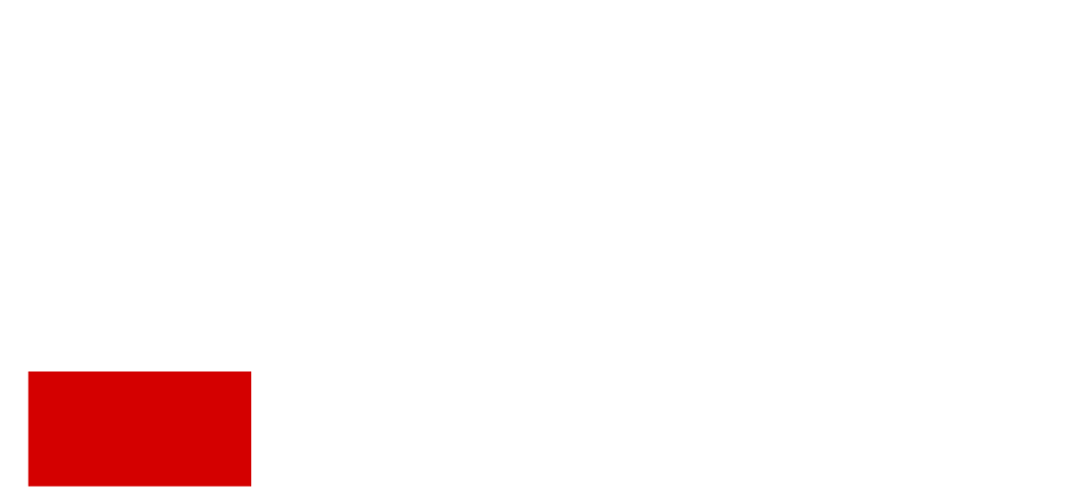 Logo small Riedl Project
